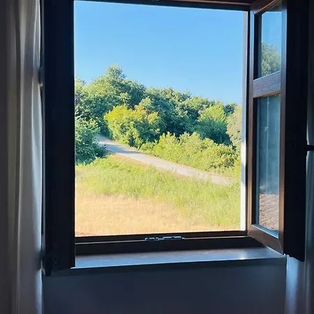 Beautiful 4 Bedroom Tara, Pool And Privacy! Βίλα