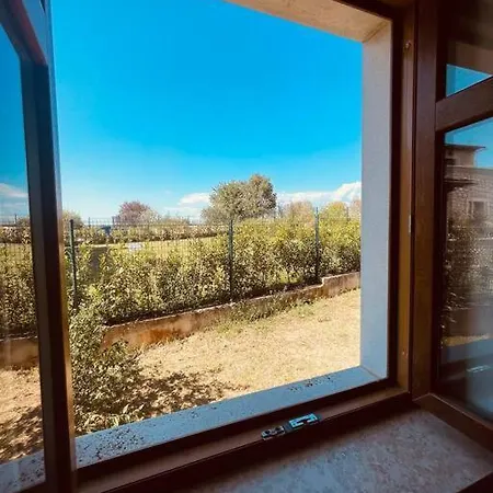 Beautiful 4 Bedroom Tara, Pool And Privacy! Ladici